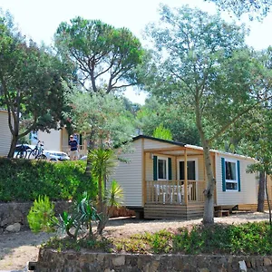 Camping Camping Treumal
